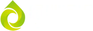Oasis Games
